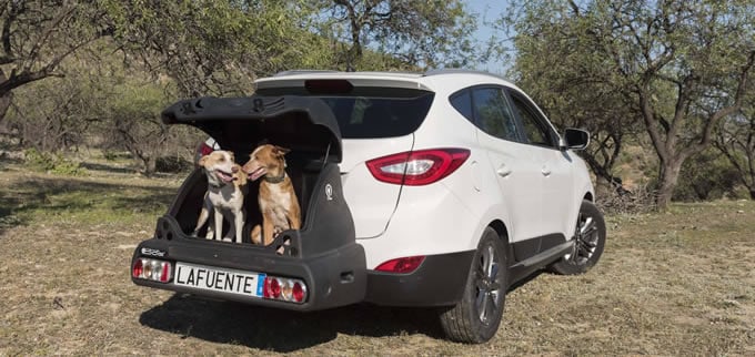 Porta Mascotas sobre Bola